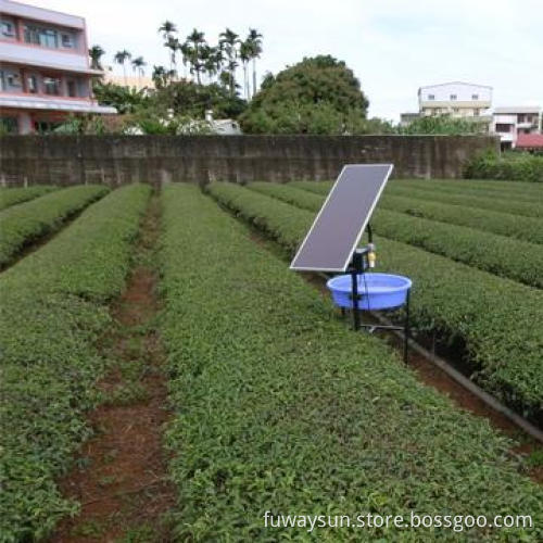 Intelligent Solar Insect Killer-Single Bulb